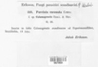 Image Associated With the Occurence